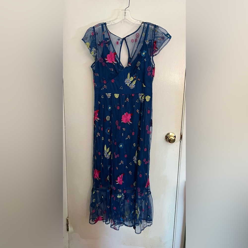Amazing Tracy Reese embroidered dress with slip lining from Anthropologie